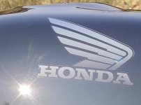 Honda Blackbird logga.jpg