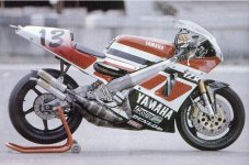 YZR5002T2.jpg