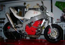 cbr900-gerhard-6.jpg