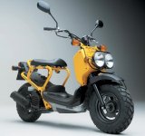 05honda-zoomer.jpg