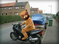 björne.jpg