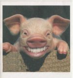 smil.jpg
