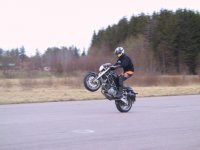 stående wheelie.jpg