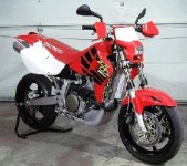 xr650dubbla skivor2.jpg