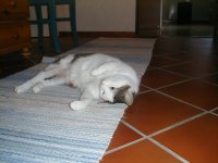 vilma 4.jpg