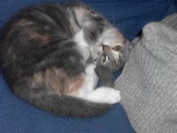 cleoboll.jpg
