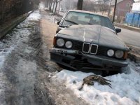 resize of bmw_vs_cat.jpg