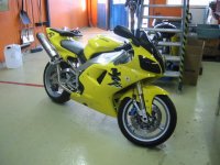 gul r1a.jpg