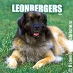 leonberger-calendar-btfr.jpg