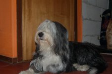 DSC_0025 (Medium).JPG