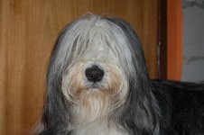 DSC_0026 (Medium).JPG