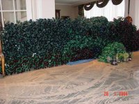 LDSC02200.jpg
