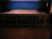 100_0063.JPG