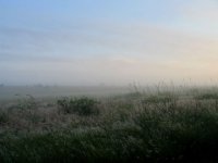 morning_01.jpg