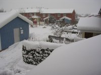 sno.jpg