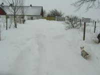 hemma11.jpg