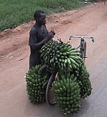 bananabike.jpg