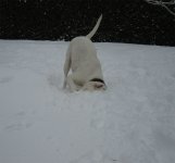 sno.jpg