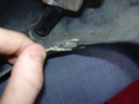 DSCN3270.JPG