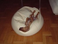 2003_0320AB_liten.JPG