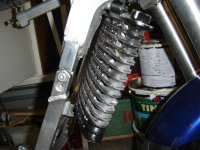 DSC04380 (Medium).JPG