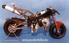 pasini-4T-groot.jpg