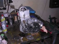 Husa-2.jpg