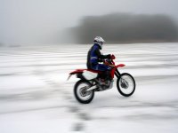 IMG_2825.jpg
