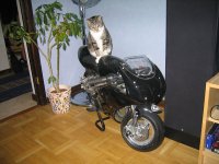 Bild 461.jpg