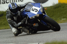 kungen1.gif