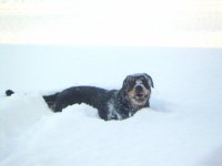 PICT0217.JPG