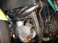 IMG_tgr1.jpg