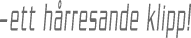typsnittsfragan.gif