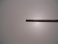 DSCN2446 (Large).JPG