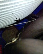 DSC00077.JPG
