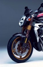 mv-BRUT_ORO_5-zoom.jpg