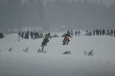 DSC_561760.JPG