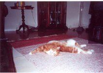 zimba11.JPG