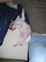 IMG_1113.jpg