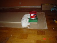 DSC05844.jpg