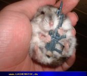 gunmaus.jpg