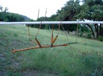 walkingstick.jpg