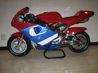 IMG_0021.jpg