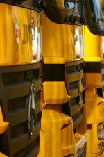 dunlop-1.JPG