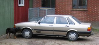 Audi.jpg