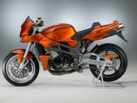 bakker grizzly left side 800x600.jpg