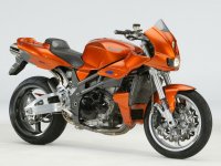 bakker grizzly right 800x600.jpg