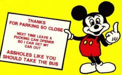 mickey_parking[1].jpg