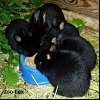 thumb_19%20maj009.jpg