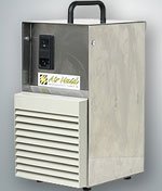 airmaid_2000s.jpe